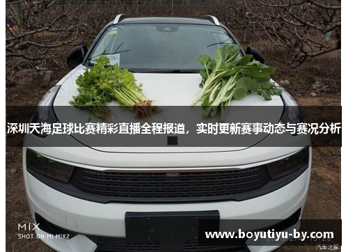 深圳天海足球比赛精彩直播全程报道，实时更新赛事动态与赛况分析